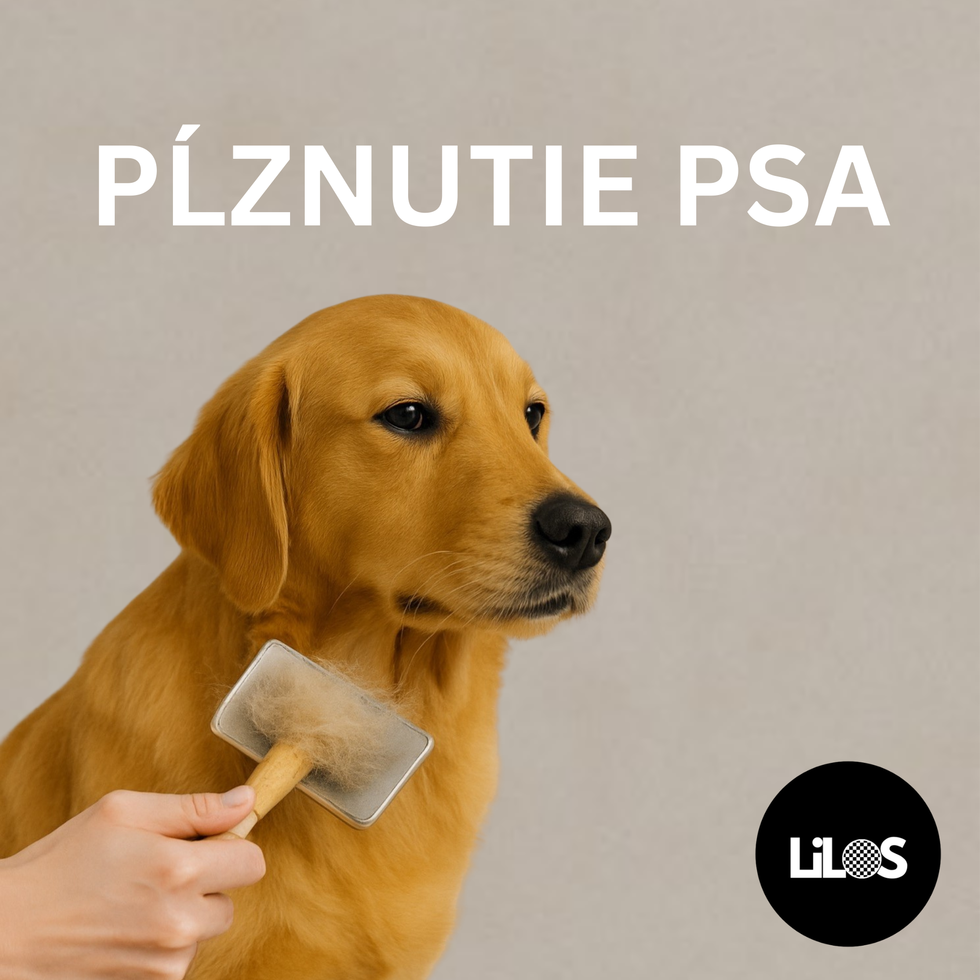 pes a chlpy pĺznutie